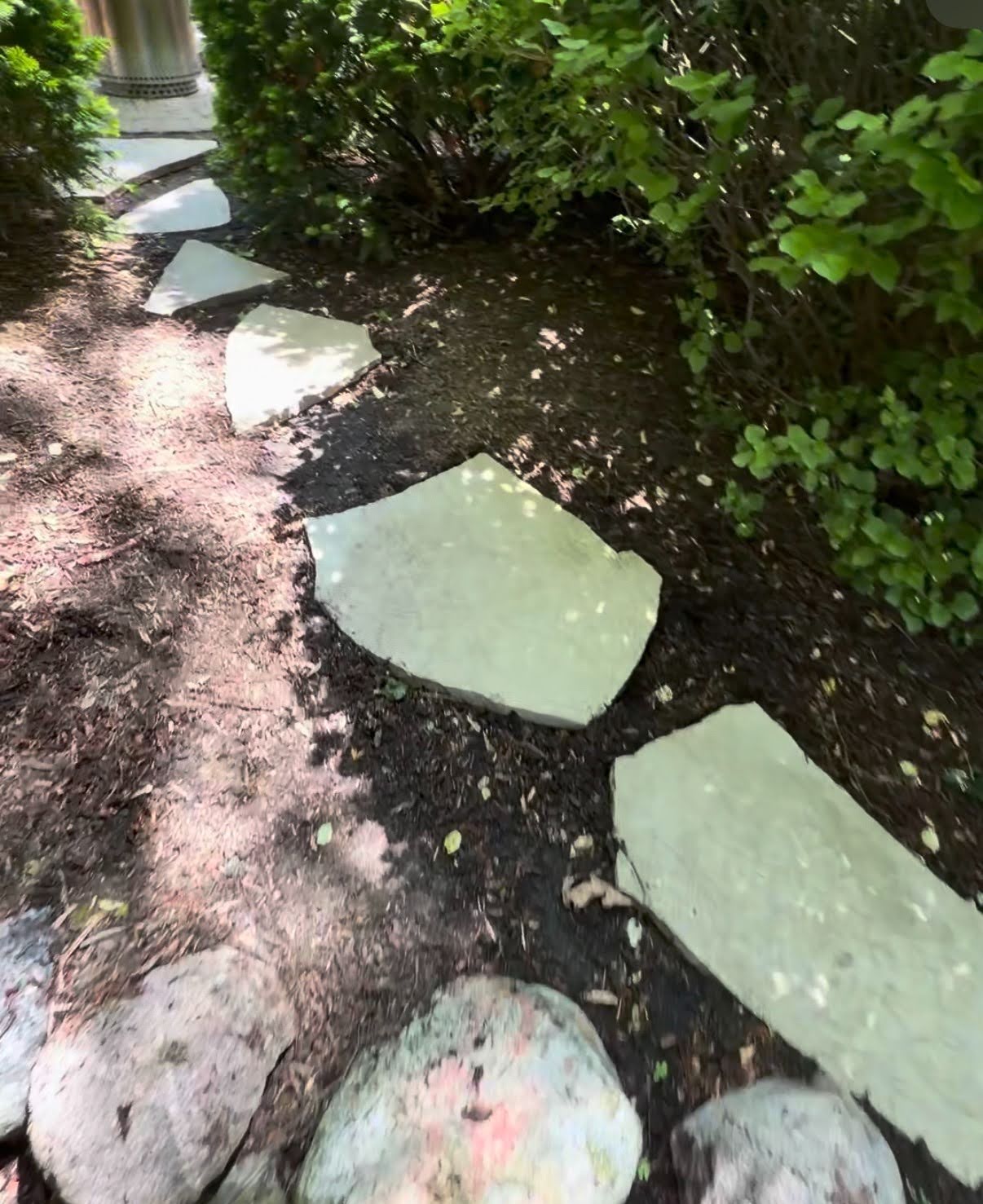 Clean walkway after power washing