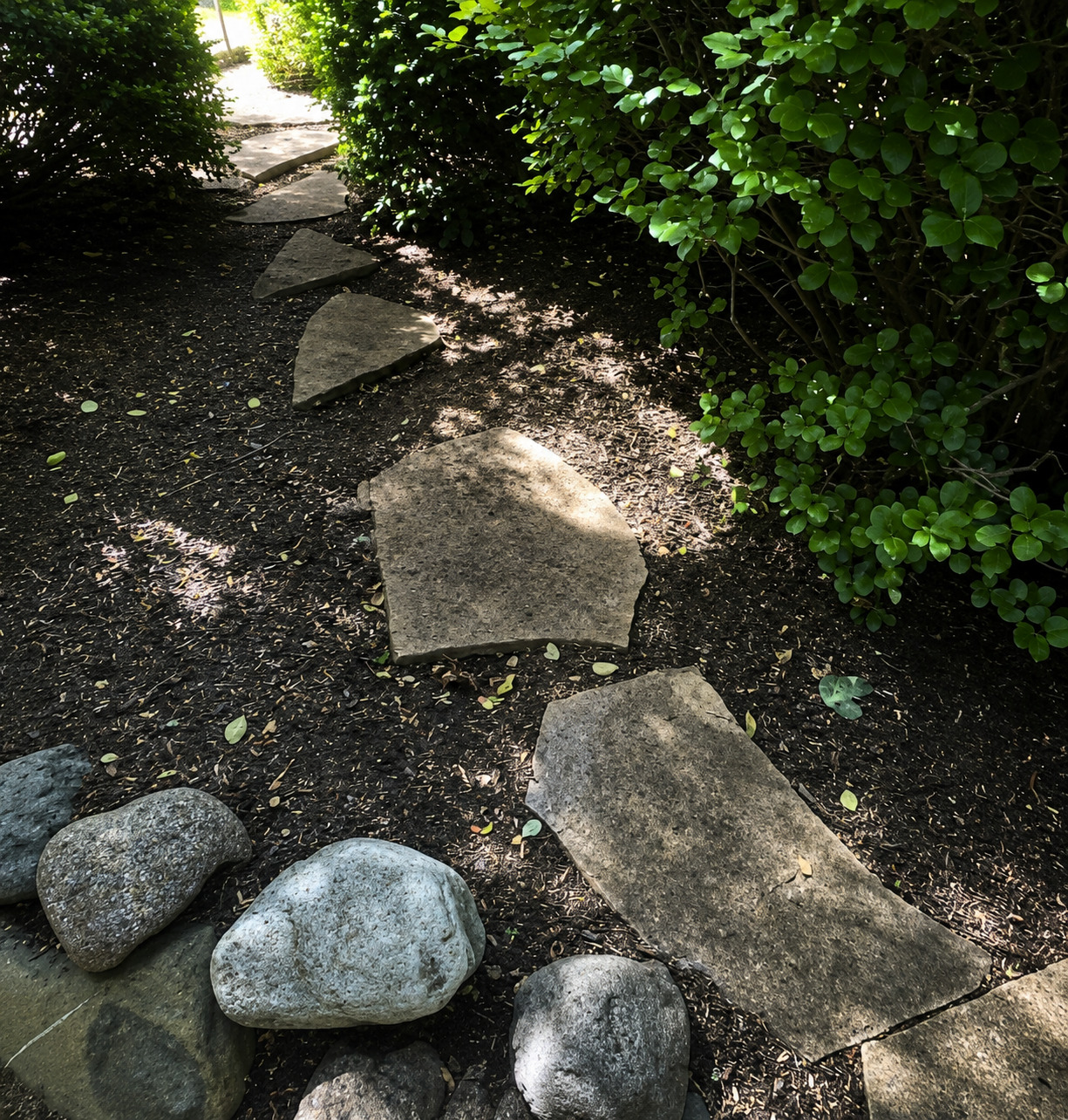 Stepping stones before pressure washing